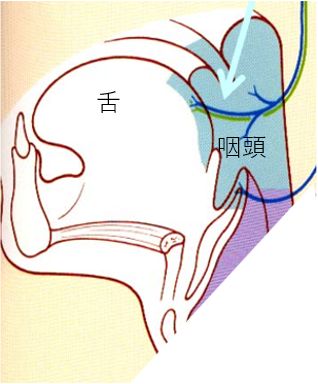 歯や顔に痛みを生じさせる病気 | 口と顔の痛み.info